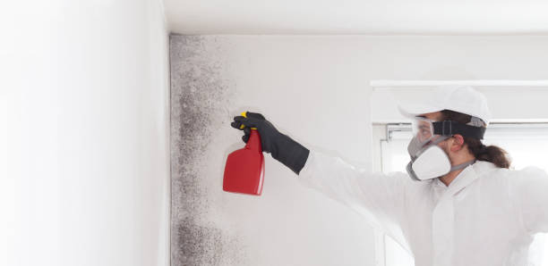 Crawl Space Mold Removal in Follansbee, WV